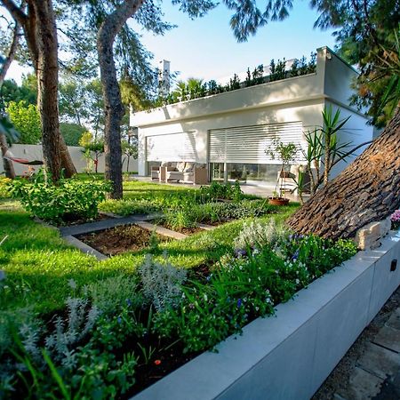 Casa Morgana Apartment Джовинацо Екстериор снимка